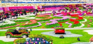 حديقة الزهور إبداع من صنع الإنسان لامثيل له | بيئي الإمارات العربية المتحدة #1004 - 1  صورة 