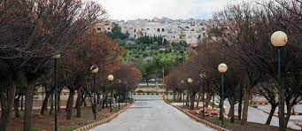 حدائق الحسين فسحة جمالية لترابط العلاقات | عقارات الأردن #3293 - 1  صورة 