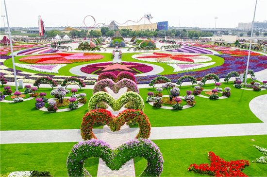 حديقة الزهور دبي عالم مستقل من الجمال | حديقة خارجية الإمارات العربية المتحدة #763 - 1  صورة 
