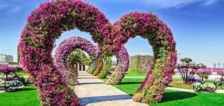 حديقة الزهور تفتح العالم في دبي | حديقة خارجية الإمارات العربية المتحدة #782 - 1  صورة 
