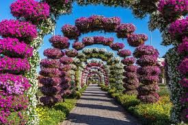 تاريخ حديقة الزهور دبي في تفاصيل تشكيلات الزهور | حديقة خارجية الإمارات العربية المتحدة #853 - 1  صورة 