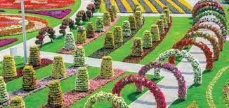 حديقة الزهور في دبي تجسد جمالية الطبيعة | حديقة خارجية الإمارات العربية المتحدة #865 - 1  صورة 