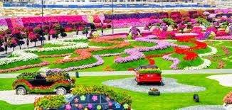 حديقة الزهور دبي  أساليب باهرة في تشكيلات الزهور | حديقة خارجية الإمارات العربية المتحدة #915 - 1  صورة 