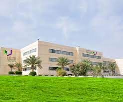 Applications for registration at Al Ghurair University are increasing annually | Colleges-Universities UAE #962 - 1  image 