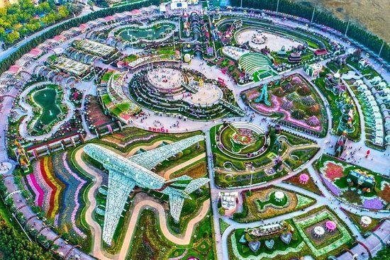 حديقة خارجية دردشة | ناقش  - دردشة #1715 - 1  صورة 