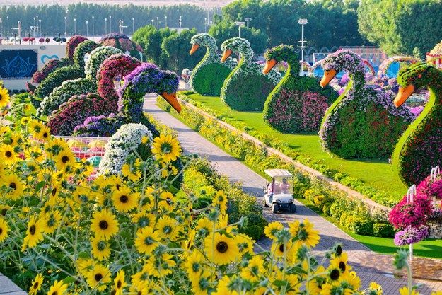 حديقة خارجية دردشة | ناقش  - دردشة #1743 - 1  صورة 