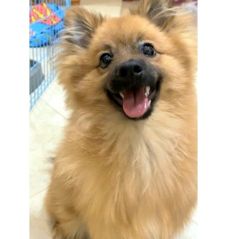 Relojes Items  in Dubái #1418 - 1  image 