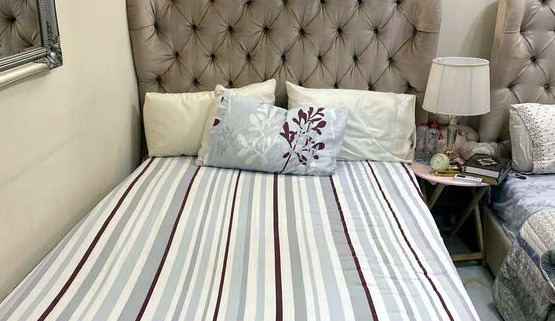 Cat Toys Items  in Dubai #3344 - 1  image 