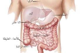 qa 335-lujain qa-g-335 أخبار  طبي أخبار في دولة قطر  #464 - 1  صورة 