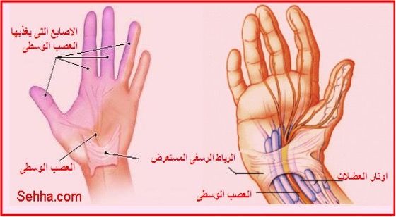 qa 335-lujain qa-g-335 أخبار  طبي أخبار في دولة قطر  #601 - 1  صورة 