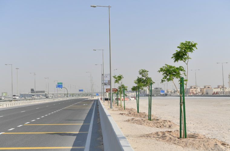 marika marika News  Environmental News in Qatar  #732 - 1  image 