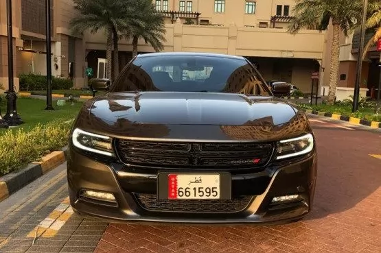 Used Dodge Charger For Sale in Al Sadd , Doha #10027 - 1  image 