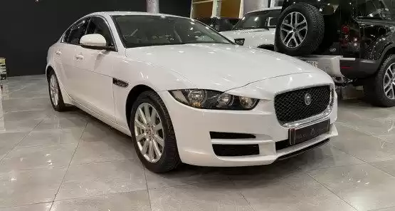 Gebraucht Jaguar Unspecified Zu verkaufen in Doha #10174 - 1  image 