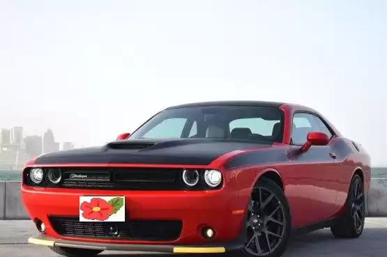 Использовал Dodge Challenger Продается в Доха #10199 - 1  image 