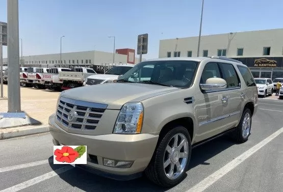 Used Cadillac Escalade For Sale in Doha #10472 - 1  image 