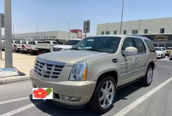 Использовал Cadillac Escalade Продается в Доха #10472 - 1  image 