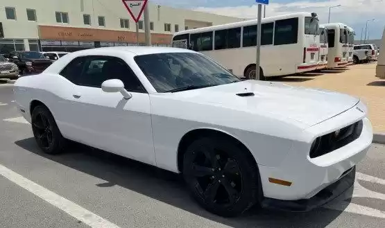 Usado Dodge Charger Venta en Doha #10478 - 1  image 