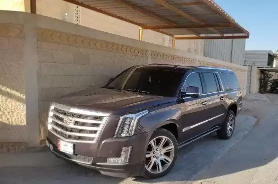 Использовал Cadillac Escalade Продается в Аль-Садд , Доха #10768 - 1  image 