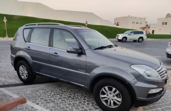Used SSangyong Rexton For Sale in Doha #10850 - 1  image 