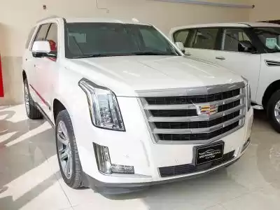 Used Cadillac Unspecified For Sale in Al Sadd , Doha #11091 - 1  image 