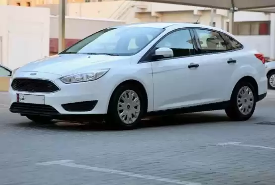 Used Ford Focus For Sale in Al Sadd , Doha #11260 - 1  image 