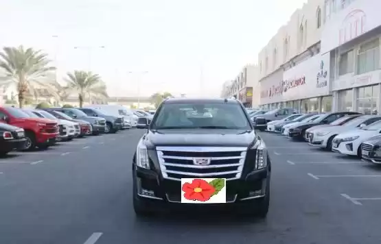 Brandneu Cadillac Escalade Zu verkaufen in Doha #11835 - 1  image 