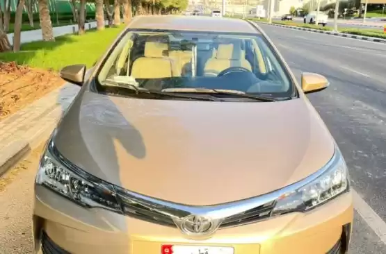 Usado Toyota Corolla Venta en Doha #12269 - 1  image 