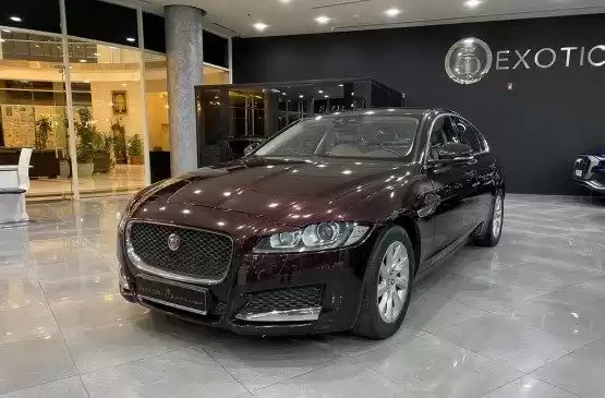 Gebraucht Jaguar Unspecified Zu verkaufen in Doha #12467 - 1  image 