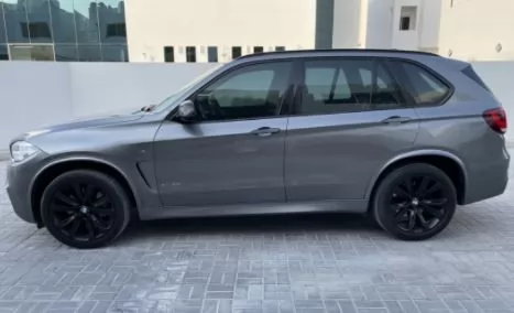 Used BMW X5 SUV For Sale in Doha-Qatar #13334 - 1  image 