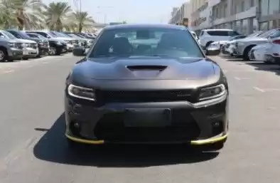 Brand New Dodge Charger For Sale in Al Sadd , Doha #13849 - 1  image 