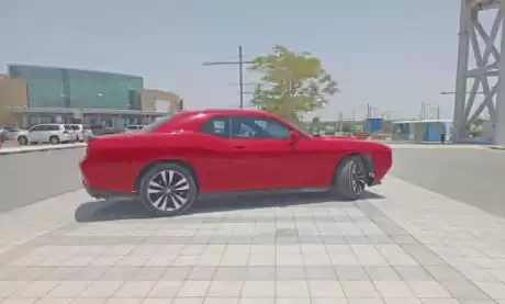 Использовал Dodge Challenger Продается в Аль-Садд , Доха #13881 - 1  image 