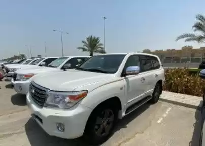 استفاده شده Toyota Land Cruiser برای فروش که در دوحه #13973 - 1  image 