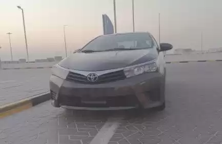 Gebraucht Toyota Corolla Zu verkaufen in Al Sadd , Doha #14117 - 1  image 