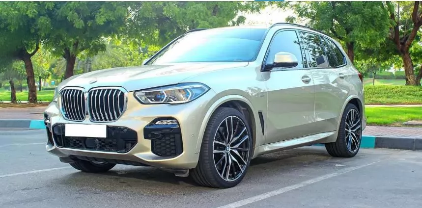 Использовал BMW X5 SUV Продается в Дубай #14514 - 1  image 