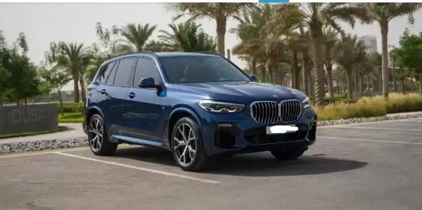 Использовал BMW X5 SUV Продается в Дубай #14784 - 1  image 