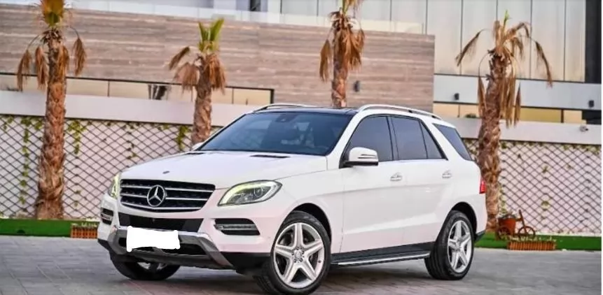 استفاده شده Mercedes-Benz Unspecified برای فروش که در دبی #14875 - 1  image 