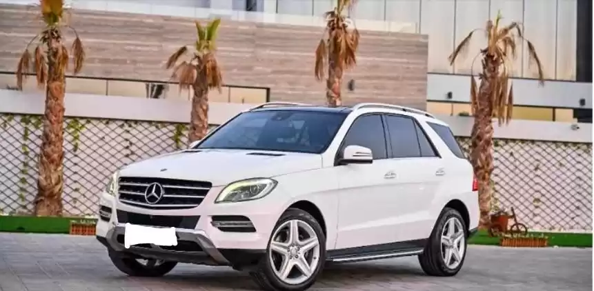 Utilisé Mercedes-Benz Unspecified À vendre au Dubai #14875 - 1  image 
