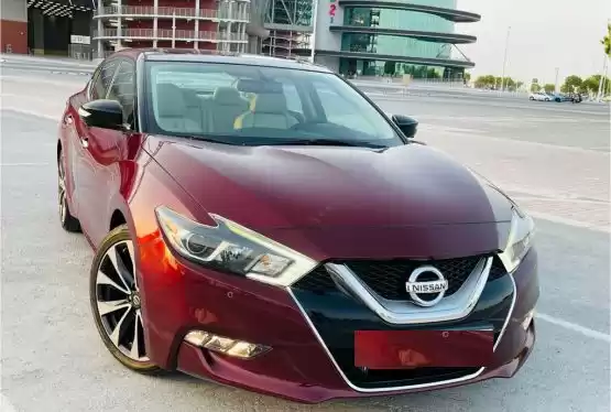 مستعملة Nissan Maxima للبيع في الدوحة #14889 - 1  صورة 