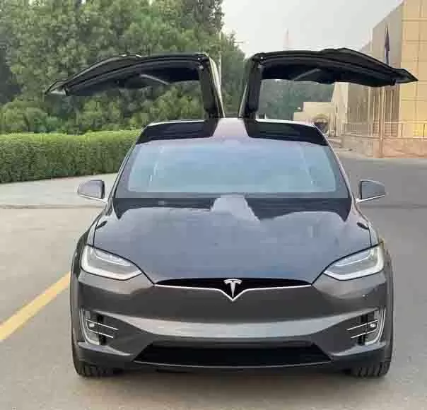 مستعملة Tesla MODEL X للبيع في دبي #14910 - 1  صورة 