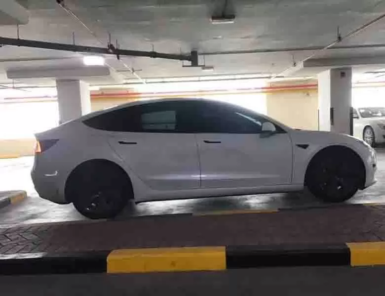 Utilisé Tesla MODEL 3 À vendre au Dubai #14912 - 1  image 
