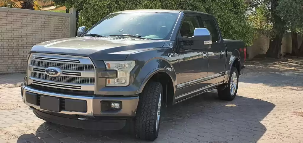 Used Ford F150 For Sale in Kuwait #15359 - 1  image 