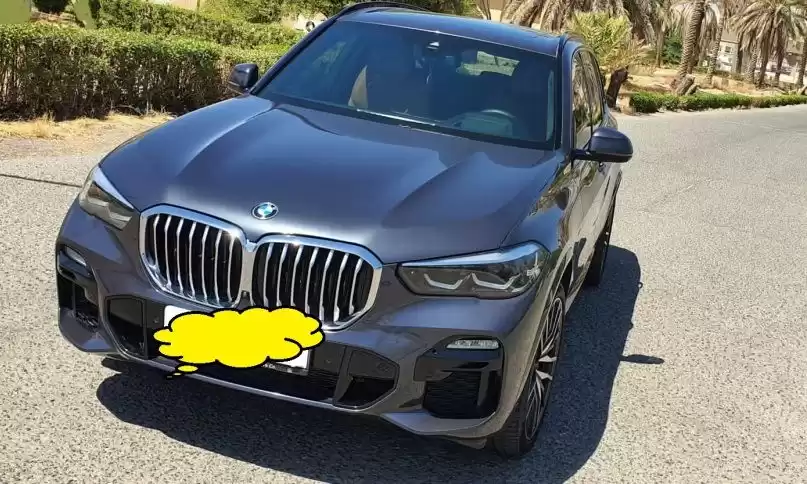 مستعملة BMW X5 للبيع في الكويت #15391 - 1  صورة 