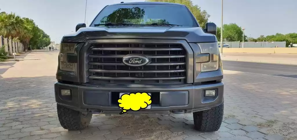 Used Ford F150 For Sale in Kuwait #15658 - 1  image 