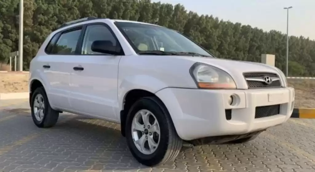 مستعملة Hyundai Tucson للبيع في دبي #16317 - 1  صورة 