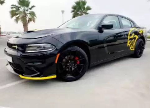 Brandneu Dodge Charger Zu vermieten in Dubai #17226 - 1  image 
