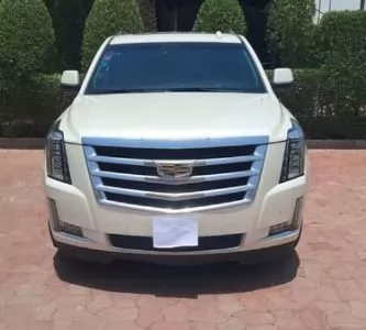 Usado Cadillac Escalade Venta en Riad #17373 - 1  image 