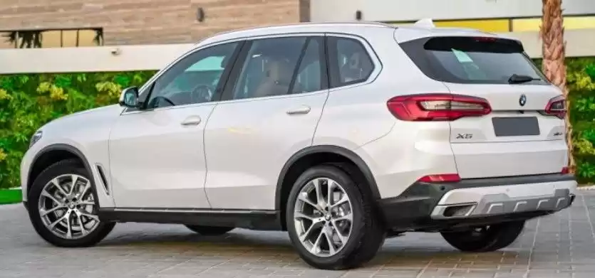 Used BMW X5 SUV For Sale in Dubai #17455 - 1  image 