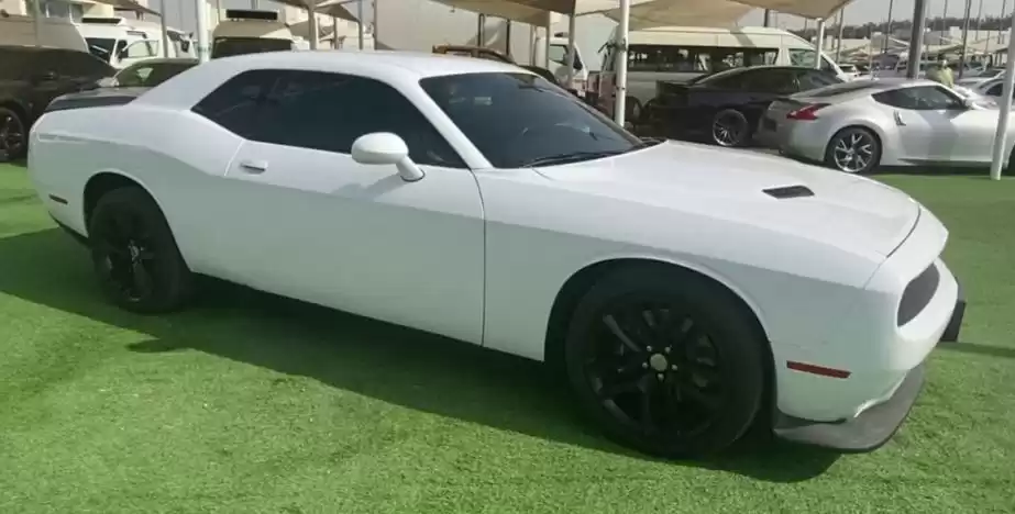 Used Dodge Challenger For Sale in Dubai #17717 - 1  image 