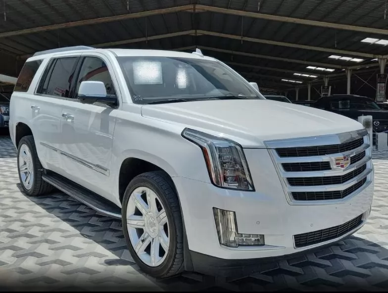 Used Cadillac Escalade For Sale in Dammam , Eastern-Province #17960 - 1  image 