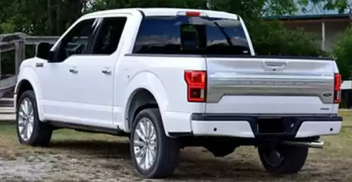 Использовал Ford F150 Аренда в Дубай #19626 - 1  image 